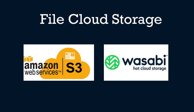 File Cloud Storage
